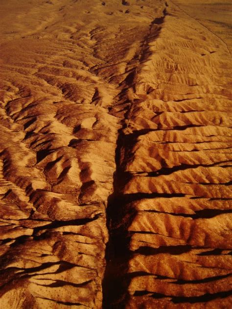 La nature fait des sauts ou le règne universel de la discontinuité