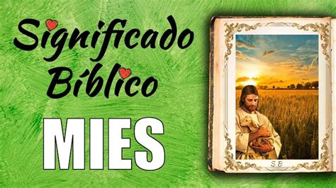 Qué significa en la Biblia mesaban Universidad Interamericana