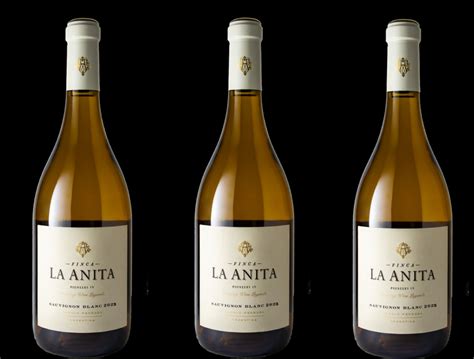 El Día Del Sauvignon Blanc Se Festeja Con Uno De Finca La Anita El Malbec