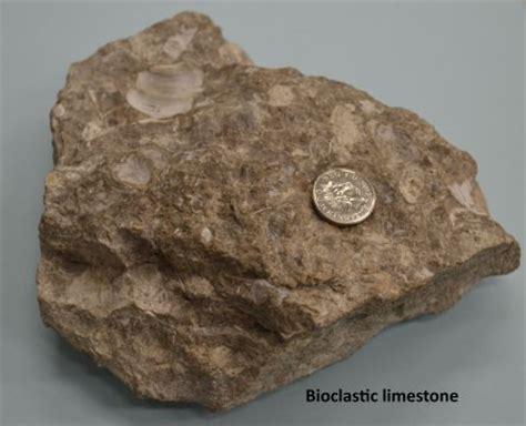 Sedimentary Rocks | Geological Society of Glasgow