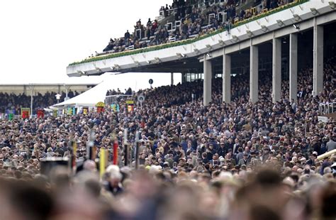 'Beyond a joke' - Cheltenham Festival 2023 tickets go on sale but ...