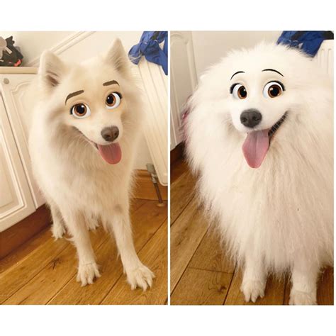 Snapchat's New "Disney" Filter Turns Your Pets Into Pixar Characters