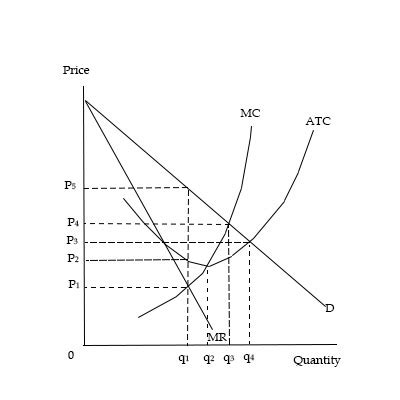 Refer To The Graph Below The Profit Maximizing Single Price Monopolist