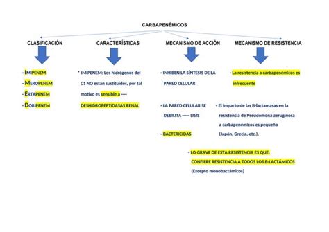 CEFALOSPORINAS OTROS ANTIBIÓTICOS B LACTÁMICOS Mapa conceptual docx