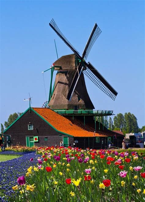 Windmill Netherlands Garden Europe Holland Windmills Netherlands