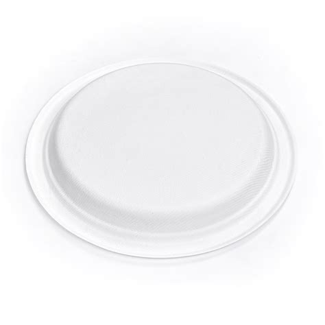 How Is The Market Of Disposable Biodegradable Plates