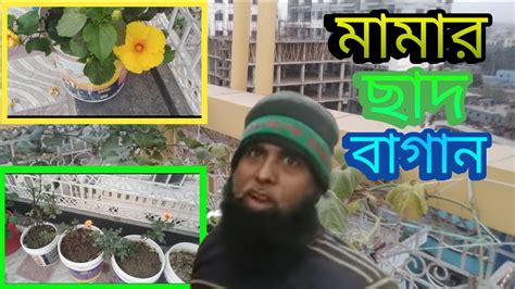 আমার ছোট মামা হাজী মোঃ সেলিম গাজী সাহেবের ছাদ বাগানviral Garden