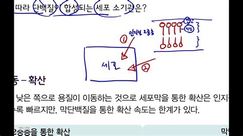 고1 통합과학 Ⅱ 3 생명 시스템 4 단백질 합성과 이동 확산 삼투 Youtube