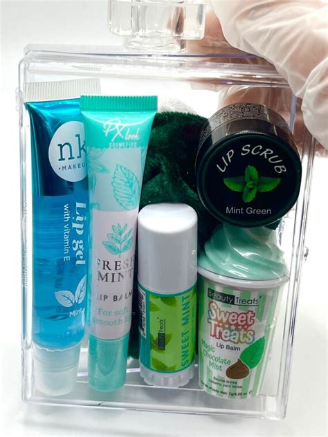 Mint Lip Care Perfume Lip Gloss Case Mint Lip Gloss Mint - Etsy