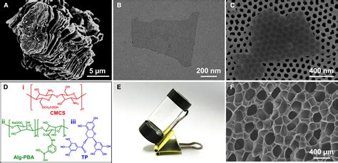 Mussel Inspired Self Healing Adhesive Mxene Hydrogel For Epidermal