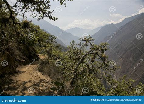 Hike through the ApurÃ­mac Canyon To the Ruins of Choquequirao Stock ...