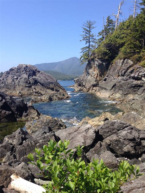 Hot Springs Cove. Tofino, BC | Places to go, Hot springs, Tofino