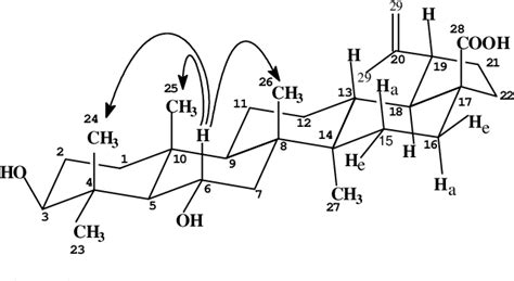 Figure 1 From Triterpenic Acids From Eugenia Moraviana Semantic Scholar