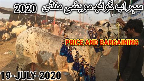 Cow Mandi Price Update Maweshi Mandi Sohrab Ghoth Karachi July