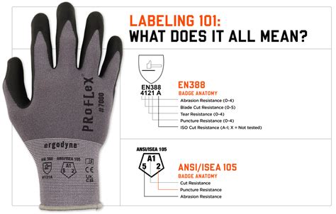 Ansiisea 105 And En 388 Cut Resistant Glove Standards Explained Ergodyne