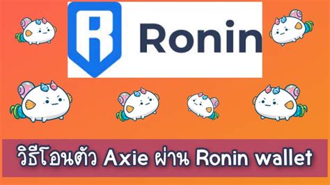 วธโอนตว Axie ผาน Ronin Wallet YouTube