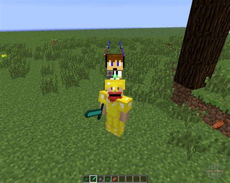 Ichuns Hats [1 6 4] Pour Minecraft