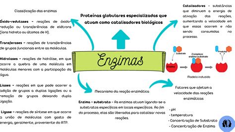 Bioqu Mica Enzimas Mapa Mental Mapa Ideias Da Escola The Best Porn