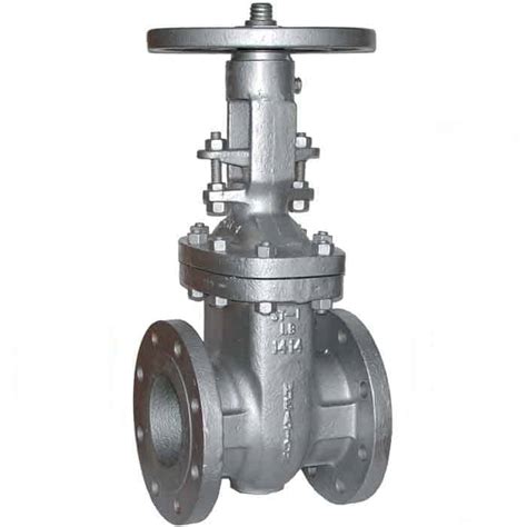 JV060020 Carbon Steel ANSI 300 Gate Valve Wixted Engineering