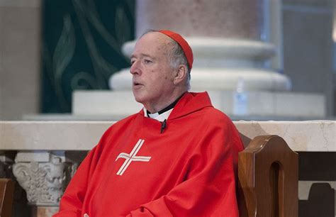 Cardinal Mcelroys Recent Essay Presents A Twisted Inversion Of Vatican Iis “universal Call To