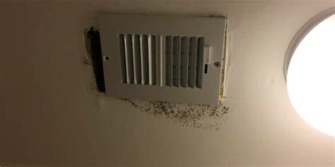 Early Stage Signs Of Black Mold In Air Vents Busines NewsWire