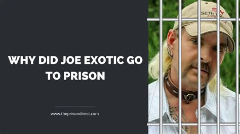 Why Did Joe Exotic Go to Prison? - The Prison Direct