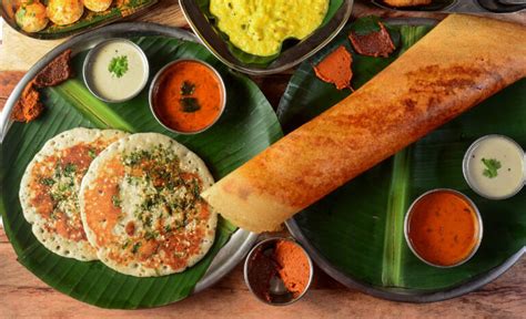 11 Best South Indian Restaurants In Abu Dhabi Top Rated