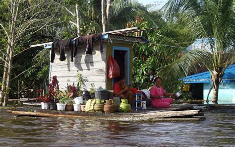 Banjir Di Sintang Belum Surut 140 468 Warga Terpaksa Mengungsi