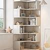 Amazon Ddj Tier Corner Bookshelf Tall Corner Bookcase