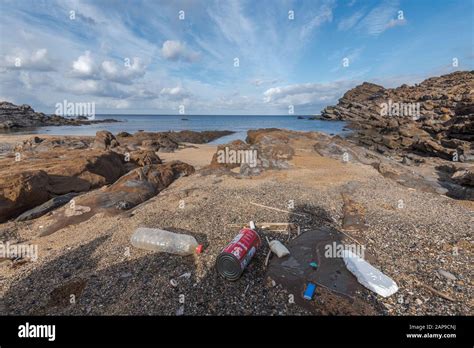 Inquinamento Plastico Mescolato Con Alghe Secche Sulle Spiagge