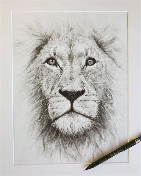 Lion, pencil drawing #pencildrawings #graphitedrawing #liondrawing # ...