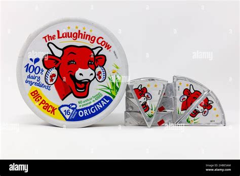 Laughing Cow Cheese Old Logo Edu Svet Gob Gt