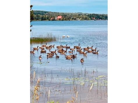 Chalet Louer Au Lac Aylmer Louer Beaulac Garthby Sur Lespac Immo