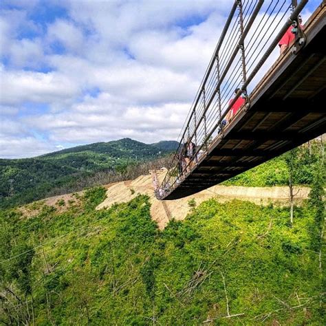 Gatlinburg Skybridge! : r/Gatlinburg