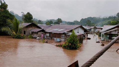 Banjir Dashyat Lumpuhkan Mahulu Kaltim Ribuan Rumah Dan Lahan