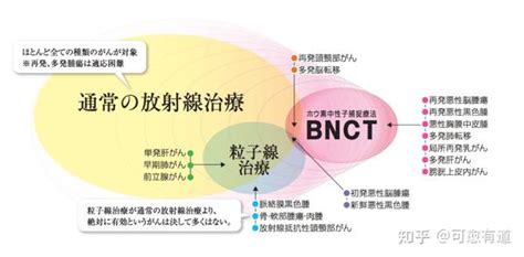 深入了解！！“硼中子俘获疗法（bnct）”的原理和常见问题，探索癌症治疗的新方向！ 知乎