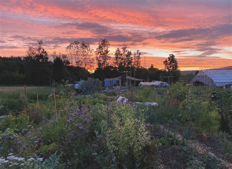 Azione Settimanale Di Migros Ticino Molto Pi Di Un Semplice Giardino