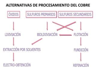 Biolixiviacion Ppt