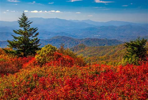 Roan Mountain, Fall Color, Appalachian, Appalachia, Blue Ridge ...