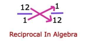 Reciprocal - Definition & Examples | Multiplicative Inverse