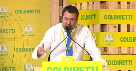 Salvini Nuovo Attacco Agli Ambientalisti Del Ministro Delle