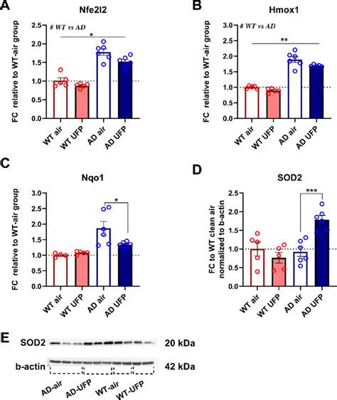 A C Hippocampal Oxidative Stress Gene Mrna Levels Measured By Qpcr