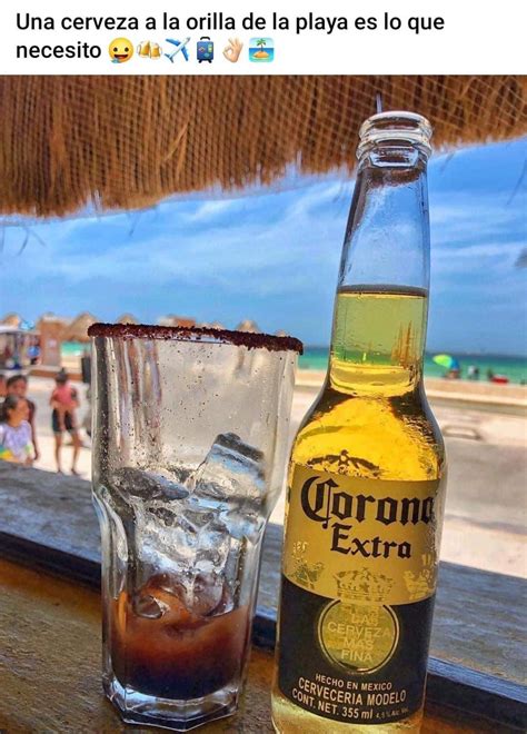 Una Cerveza A La Orilla De La Playa Es Lo Que Necesito Memes