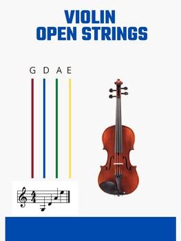 Viola Strings Labeled