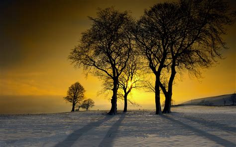 Winter Sunshine Glow Wallpaper 2880x1800 32540