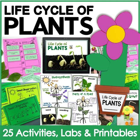 Life Cycle of Plants Science Unit - Around the Kampfire