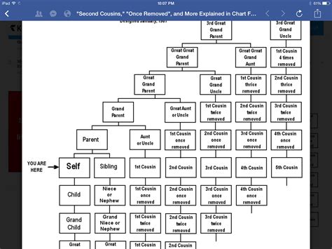 Genealogists explain what does cousin once removed mean for your DNA 8