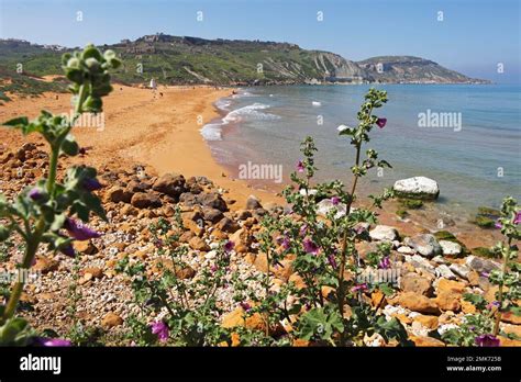 Sandy Beach Beach At Ramla Bay Gozo Males Islands Stock Photo Alamy