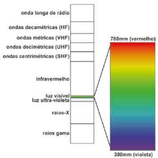 Em Qual Faixa Do Espectro Visível Os Carotenos Absorvem Majoritariamente - -Faixa do espectro eletromagnética na qual a radiação é visível ...