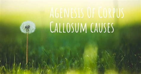 Which are the causes of Agenesis Of Corpus Callosum?